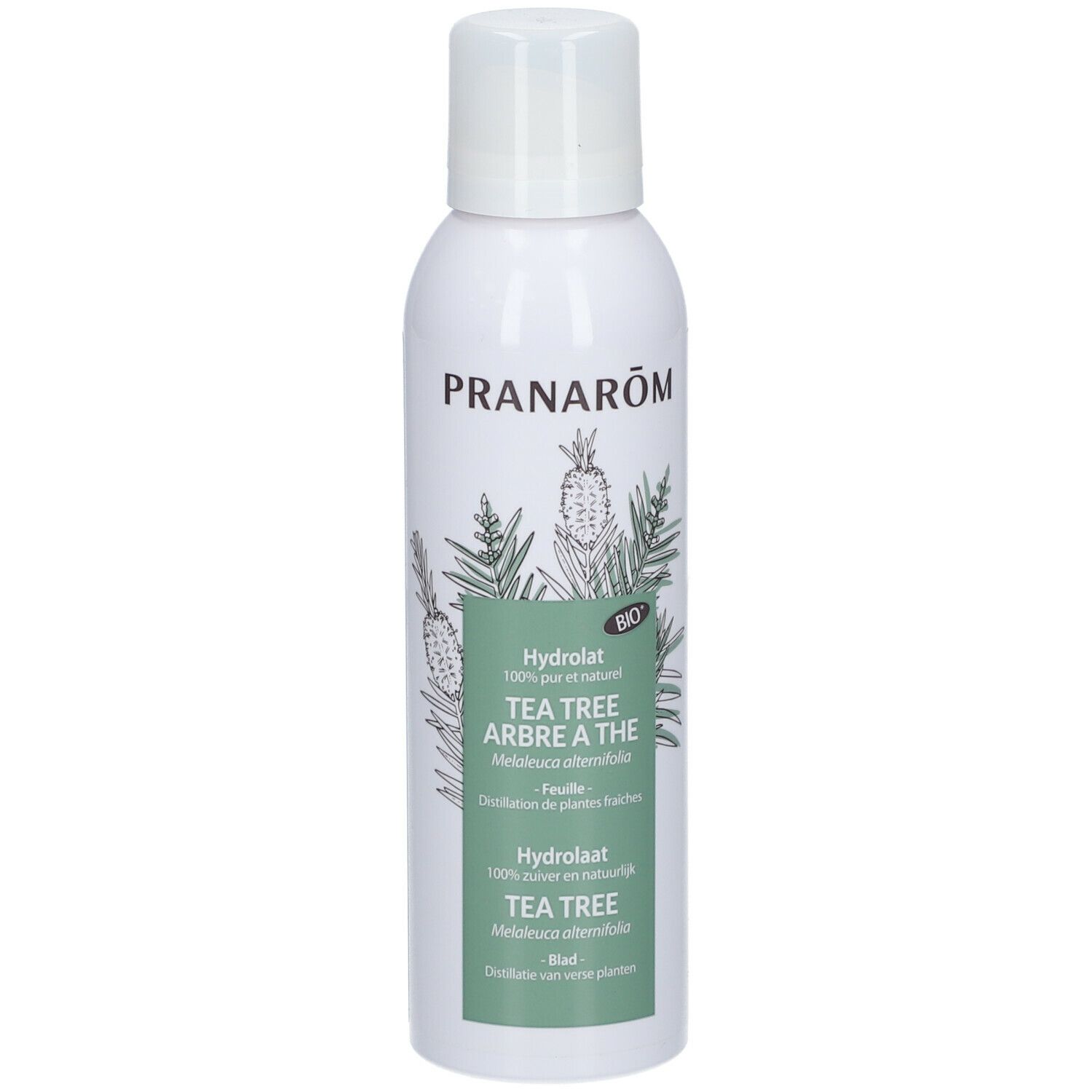 PRANAROM Hydrolat d arbre à thé 150 ml Redcare Pharmacie