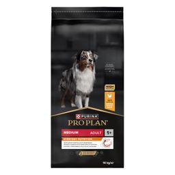 Purina Pro Plan Dog Medium Adult Everyday Nutrition Poulet