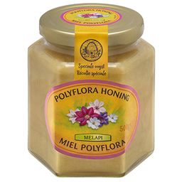MELAPI Miel Polyflora