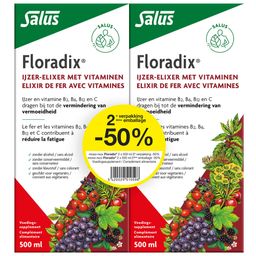 Salus Floradix Élixir de Fer DUO Prix Réduit