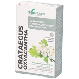 Soria Natural® 17-S Crataegus oxyacantha XXI Aubépine blanche