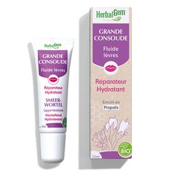 Herbalgem Baume à Lèvres Grande Consoude Bio