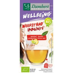 Damhert Wellbeing Thé Gingembre - Citron Vert Bio