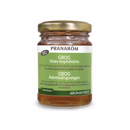 PRANARÔM - Aromaforce - Grog Voies Respiratoires - Miel Acacia Aux Huiles Essentielles Bio - Ravintsara Et Pin Sylvestre - Aide à respirer plus librement - 140 g