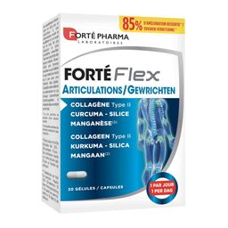 Forté Pharma Forté Flex Articulations