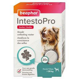 beaphar IntestoPro >20 kg