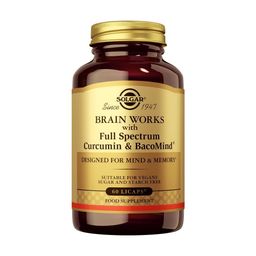 SOLGAR Brain Works