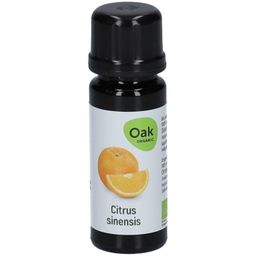 Oak Citrus sinensis