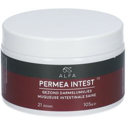 Alfa Permea Intest Muqueuse Intestinale Saine