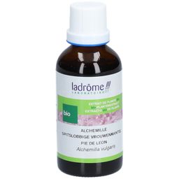 Ladrôme Alchémille Extrait Végétale
