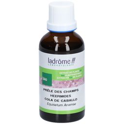 Ladrôme Prêle des Champs Extrait Végétale