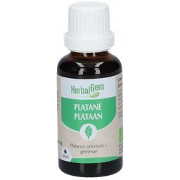 HerbalGem PLATANE