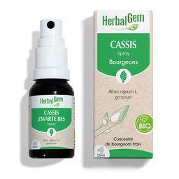 HERBALGEM - Cassis Bio - Complément Alimentaire  - Extrait De Bourgeon Frais - Pour Articulations, 15 ml