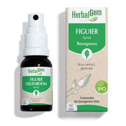 HERBALGEM - Figuier Bio - Complément Alimentaire - Extrait De Bourgeon Frais - Pour Digestion - - 15 ml