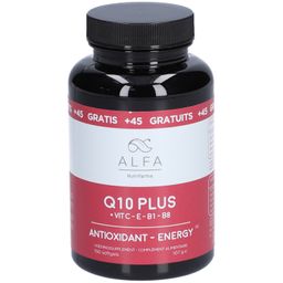 ALFA Q10 Plus