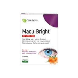 Quercus Macu-Bright®