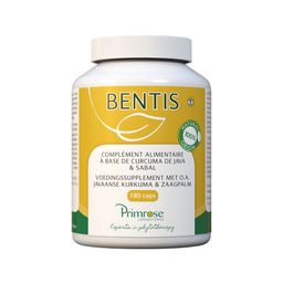 PRIMROSE (Prima)Bentis