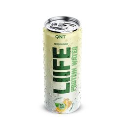QNT Liife Protein Water Citron Gingembre