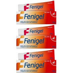 Fenigel