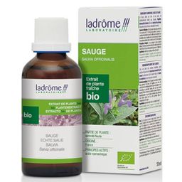 Ladrôme Extrait de plante fraîche Sauge Bio