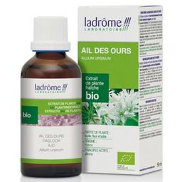 Ladrôme Extrait d'Ail des Ours Bio