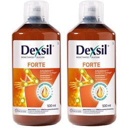 DexSil Forte Articulations