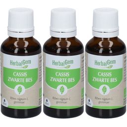 HERBALGEM - Cassis Bio - Complément Alimentaire  - Extrait De Bourgeon Frais - Pour Articulations