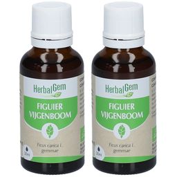 HerbalGem Figuier Bio
