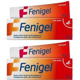 Fenigel