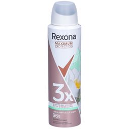 Rexona® Women Anti-Transpirant Max Déodorant en spay Maximum Protection 96 H Lime & Waterlily