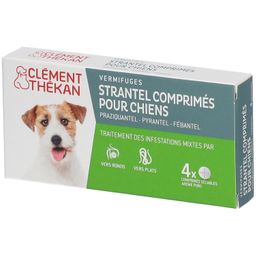 Clement Thekan Vermifuges Vers Plats Et Ronds Chien 4 Comprimés
