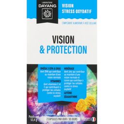 DAYANG Vision & Protection