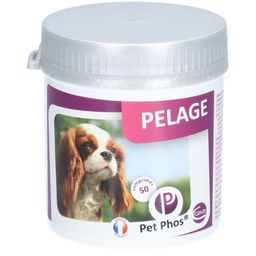 Pet Phos® Pelage chien