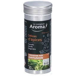 Le Comptoir Aroma Composition pour Diffusion Délices d'épices