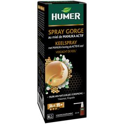 HUMER SPRAY GORGE