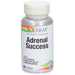 SOLARAY Adrenal Succes