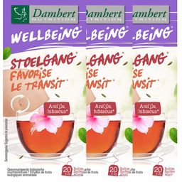 Damhert Tea Time Stimule le transit