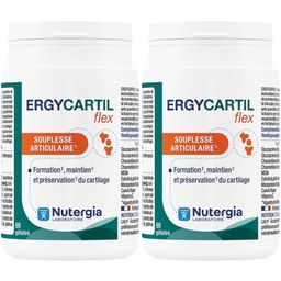 Ergycartil Flex