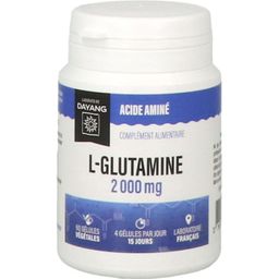Dayang L-Glutamine acide aminé végétal pour peau et vieillissement cellulaire