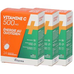 Nutrisanté ÉNERGIE AU QUOTIDIEN Vitamine C 500 mg