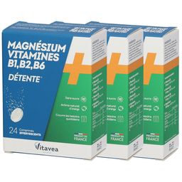Nutrisanté Magnésium + Vitamines B1 B2 B6