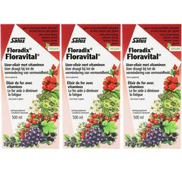 Salus Floravital® Fer + plantes