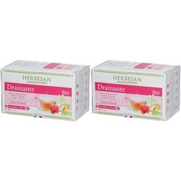 Herbesan® Infusion Bio Drainante N° 5