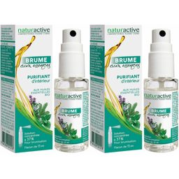 naturactive BRUME aux Essences Purifiant d'Intérieur