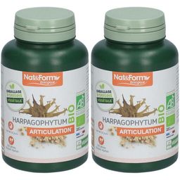 Nat & Form Biologique Harpagophytum Bio