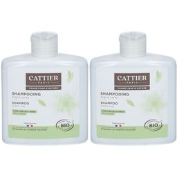 Cattier shampoing argile verte bio cuir chevelu gras
