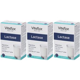 Vitaflor® Bouillet Nutrition Lactase
