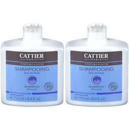 Cattier Shampoing bois de saule bio antipelliculaire
