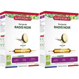 Super Diet Radis noir bio