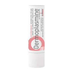 Boiron Dermoplasmine Stick lèvres Hydratant et apaisant